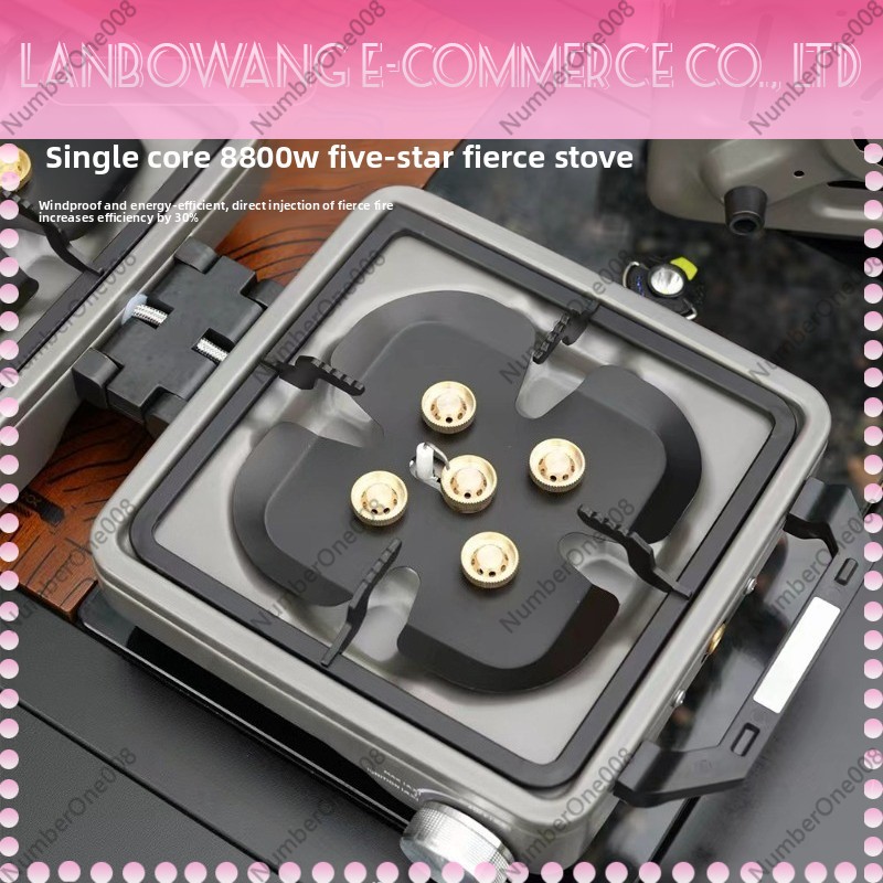 Outdoor Dual Burner High Power - Camping Cooking Fuel recension och pris